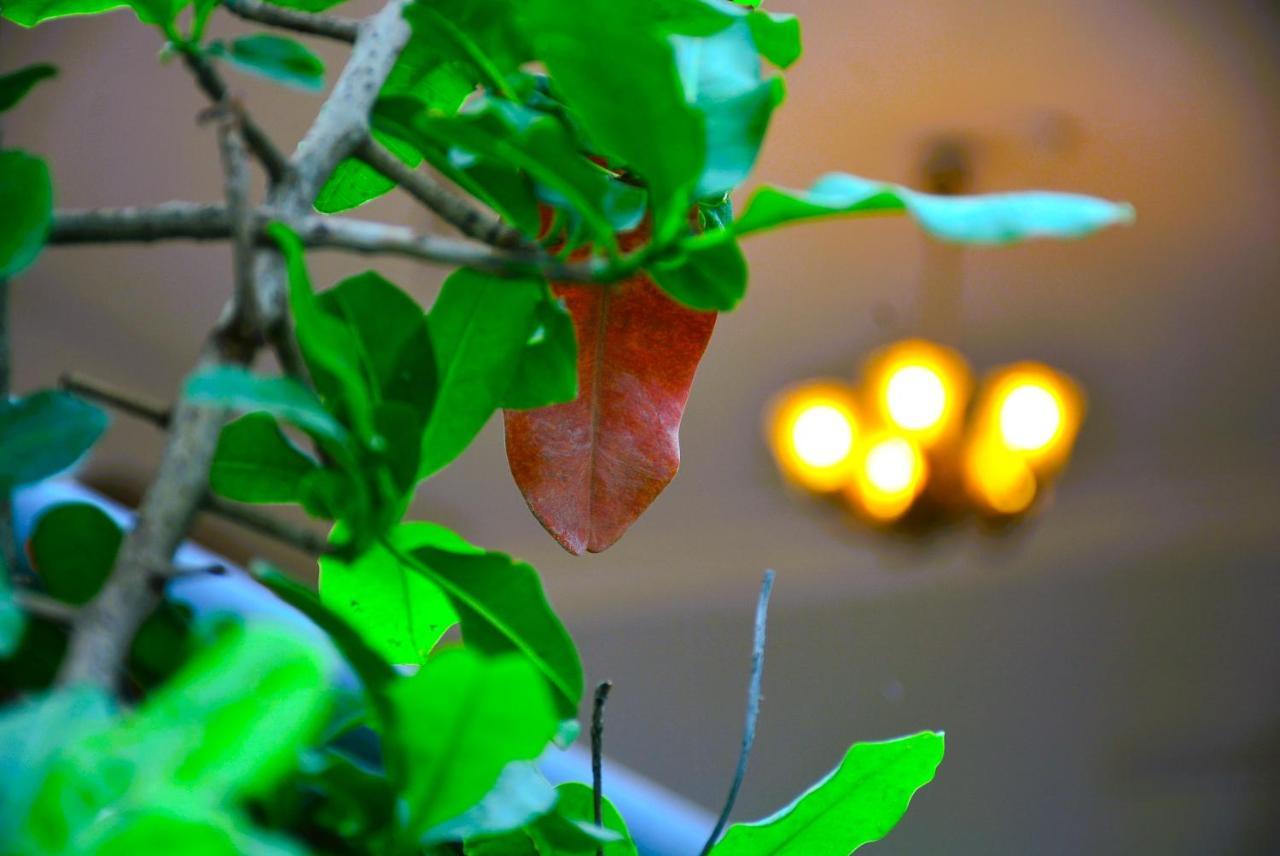 Yellow Homestay - Modern 2Bhk Ac Stay ジャバルプル エクステリア 写真